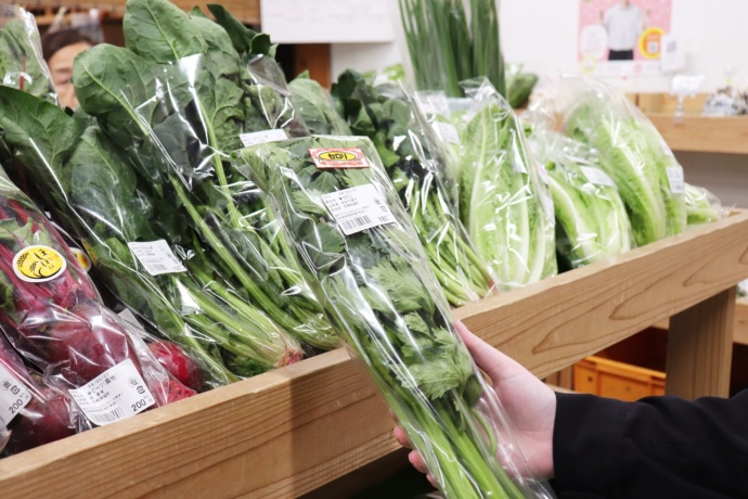 綾町で育てられた野菜