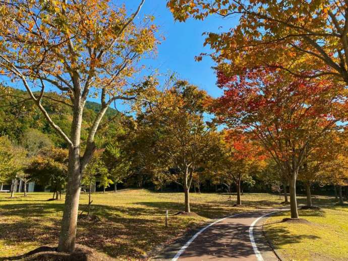 安土城考古博物館周辺の紅葉