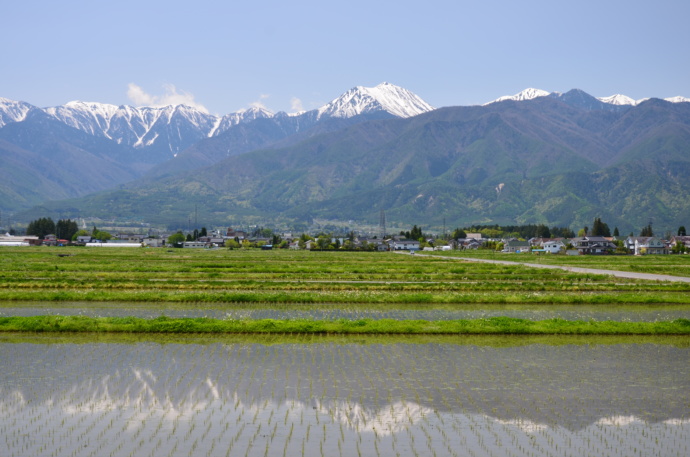 安曇野市で見られる水鏡の風景