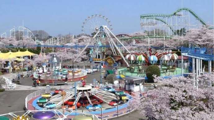 春の八木山ベニーランドの園内風景