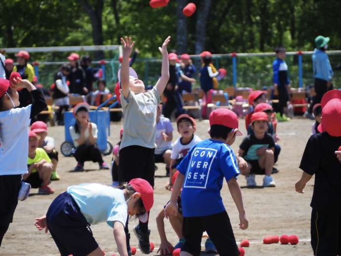 別海町小学校の運動会の様子