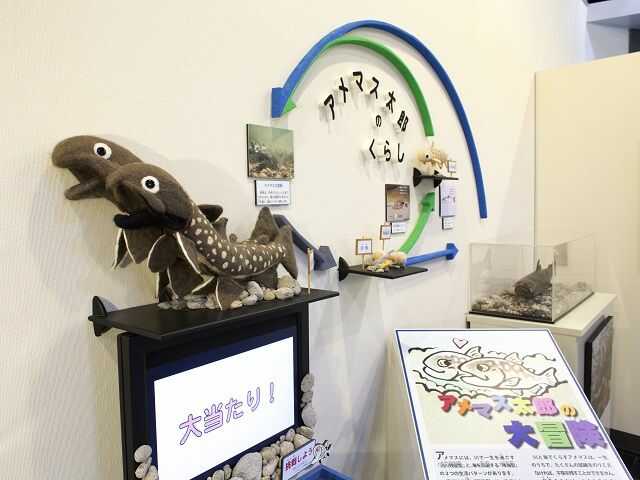 美幌博物館の遊べるコーナーがある第2展示室