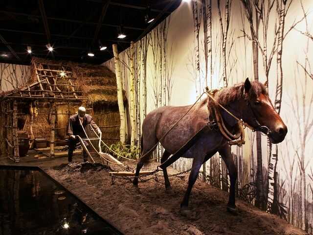 美幌博物館で見られる北海道の農業の様子