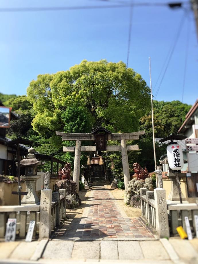 備前市の映えスポット「天津神社」