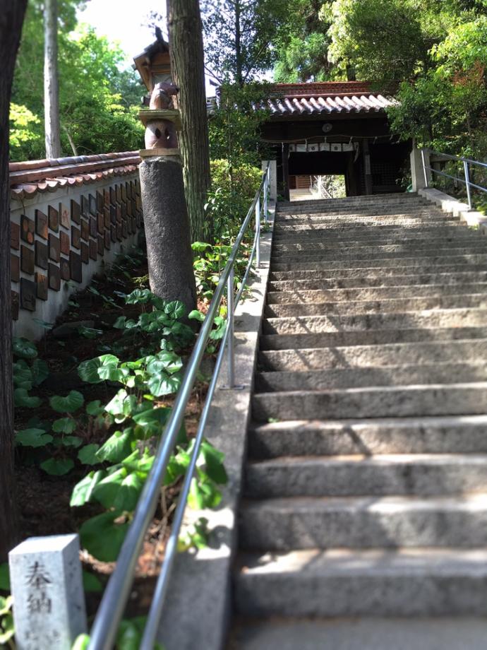 天津神社内境内の風景