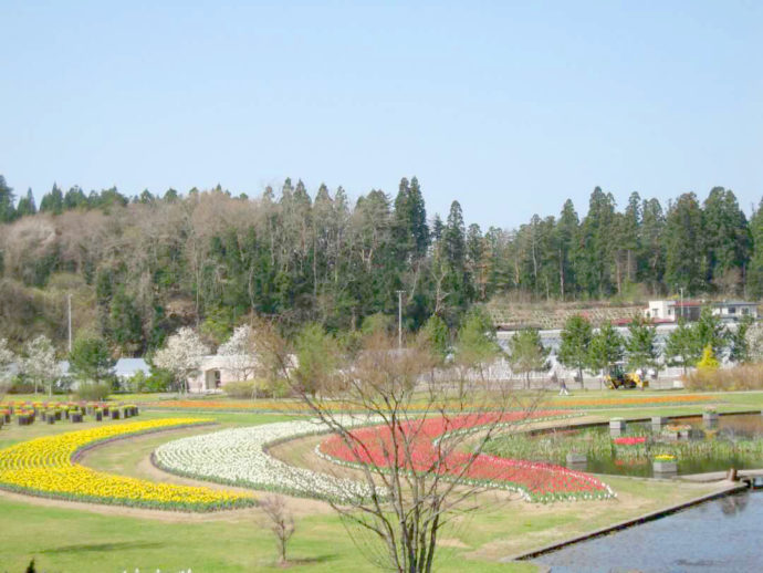 道の駅しょうわの春花壇