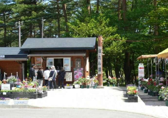 「花と泉の公園」内の「ぼたん園」入口付近の様子