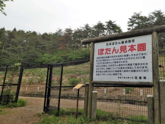 「花と泉の公園」内にある「ぼたん見本園」の様子