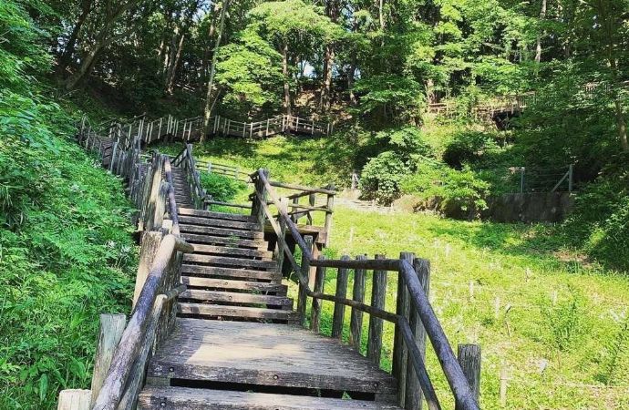 ボッテーガ・トラモーダから徒歩20分にある東高根森林公園