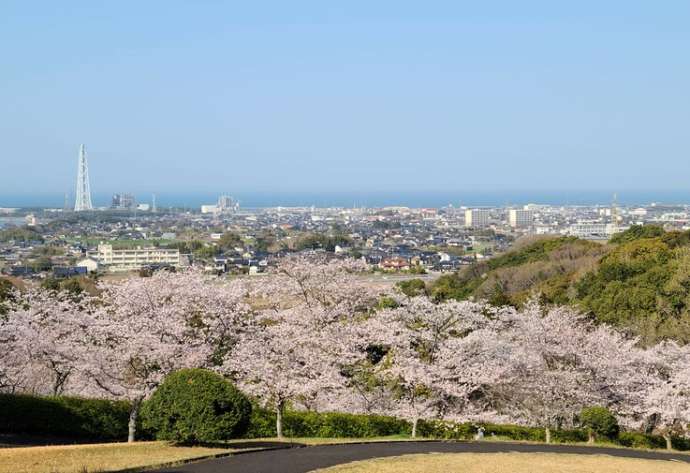 豊前市の天地山公園