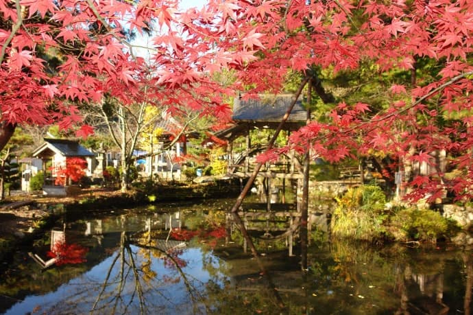 もみじに囲まれている白毫寺の太鼓橋