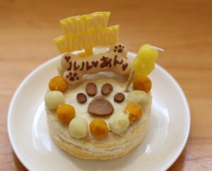 Cafeむすびで提供しているわんちゃん用バースデーケーキ