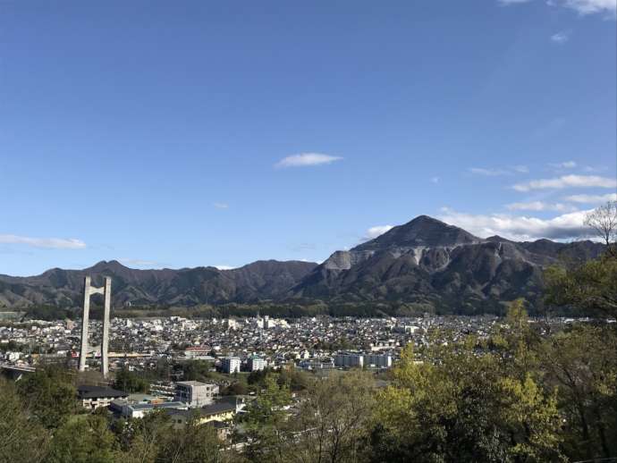 秩父ミューズパークからの市街地の眺め