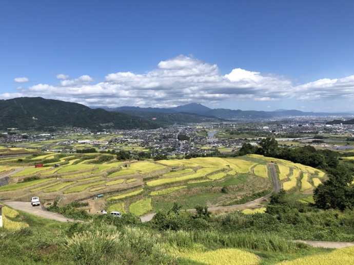 長野県千曲市の姨捨の棚田の稲刈り前の風景