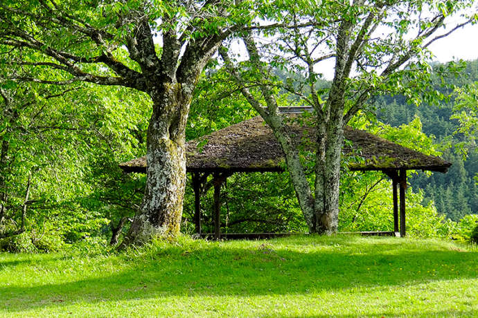 夏の竹林院群芳園