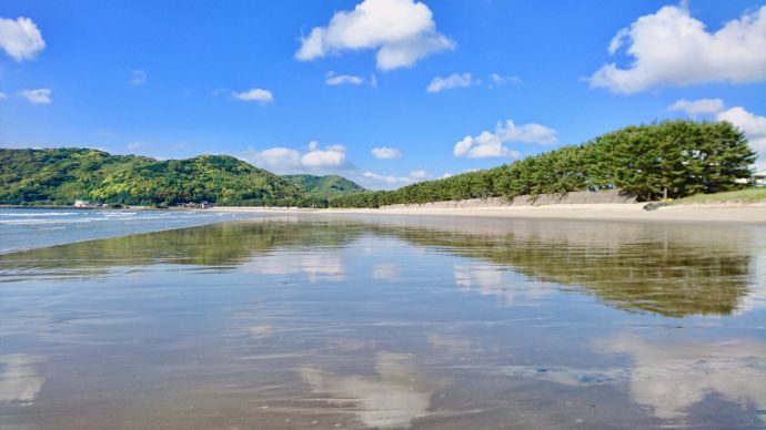 鎮懐石八幡宮近くの深江海岸