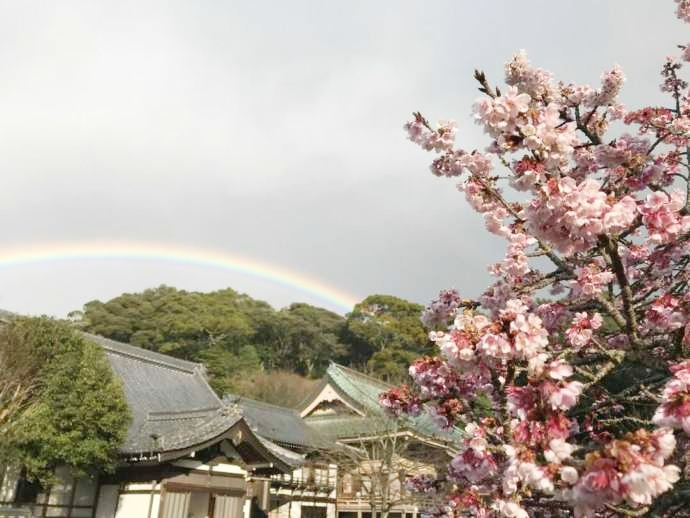 鎮國寺の外観とあたみ桜