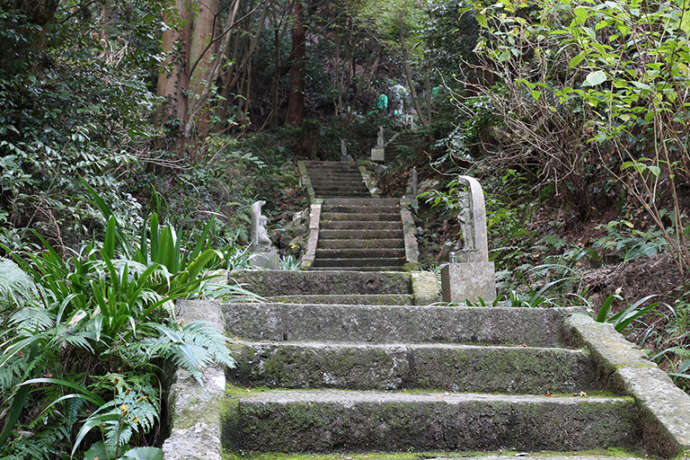 鎮國寺の奥の院に続く参道