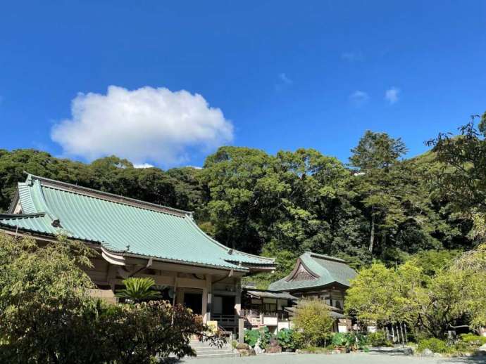 鎮國寺の外観と周辺の豊かな森