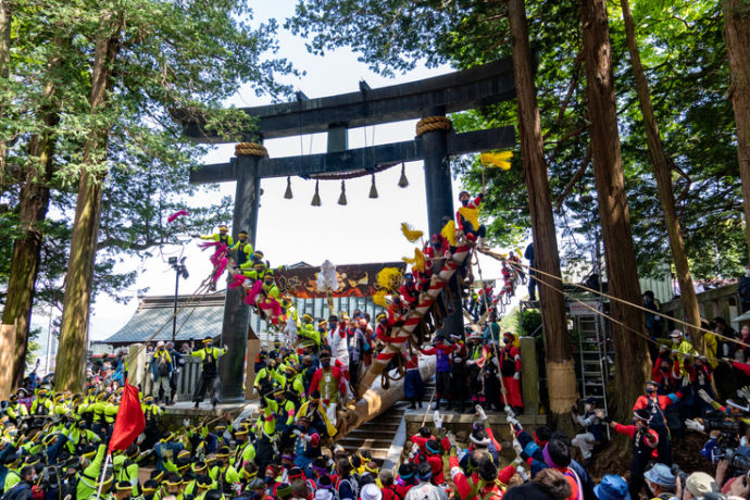 茅野市の「御柱祭」