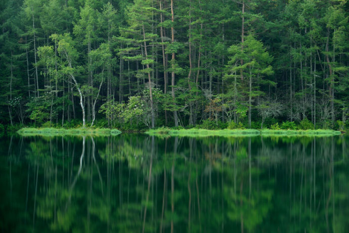 夏の御射鹿池のリフレクション風景