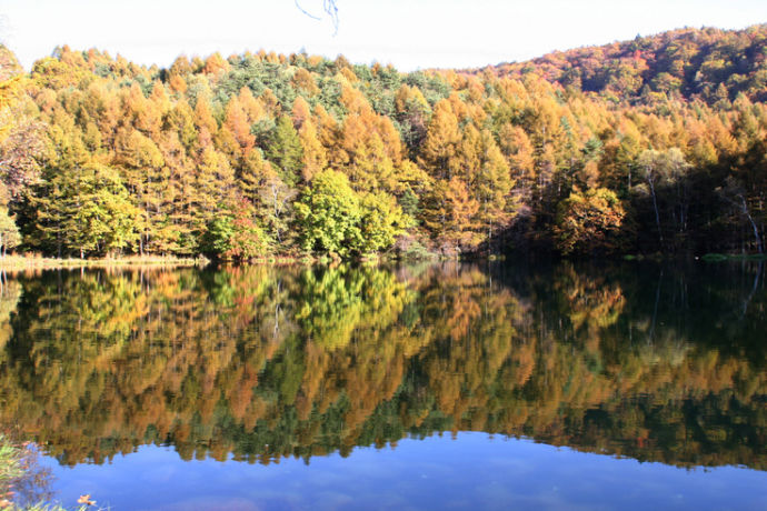 紅葉シーズンの御射鹿池の風景