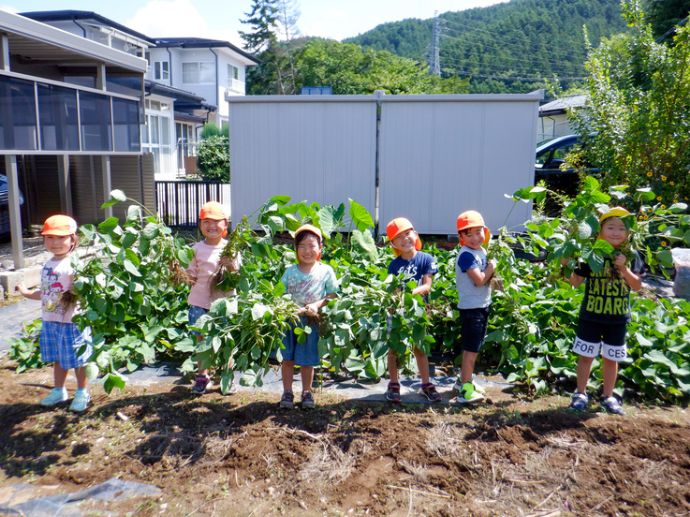 保育園で実施している野菜の栽培・収穫体験