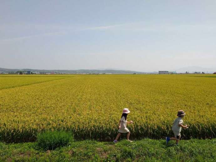 秩父別町の田園を走る子どもたち