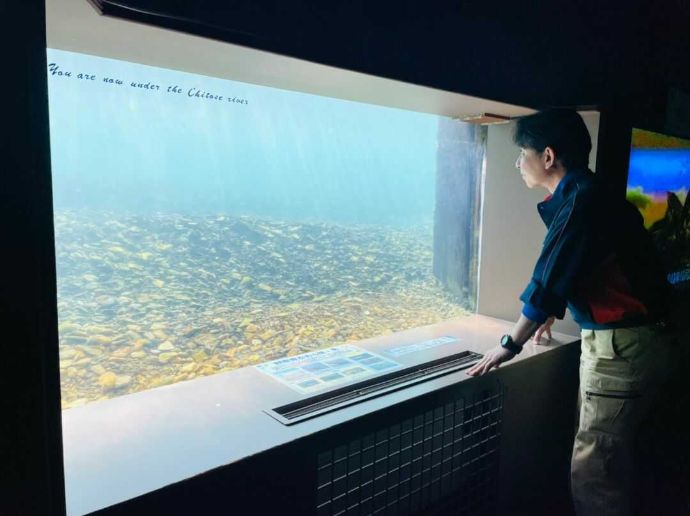 水中観察窓を覗くサケのふるさと千歳水族館館長の菊池さん