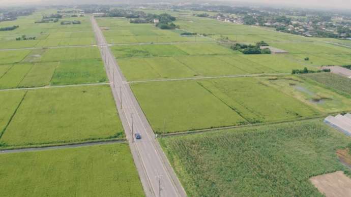 長生村で田園と田園の間をまっすぐのびる1本道