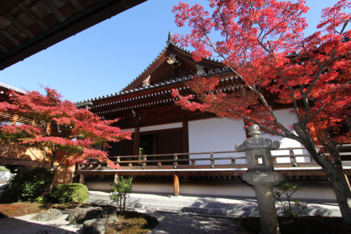 「金陵山 阿吽院 長勝寺」書院からの本堂と紅葉