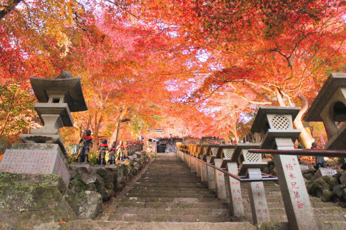 紅葉シーズンの大山周辺の様子