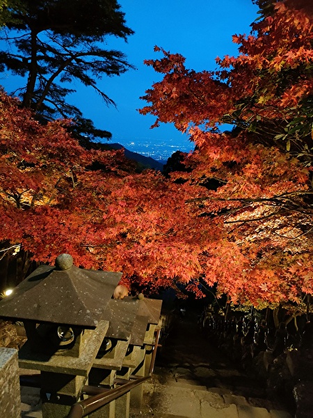 紅葉シーズンにライトアップした大山周辺の様子