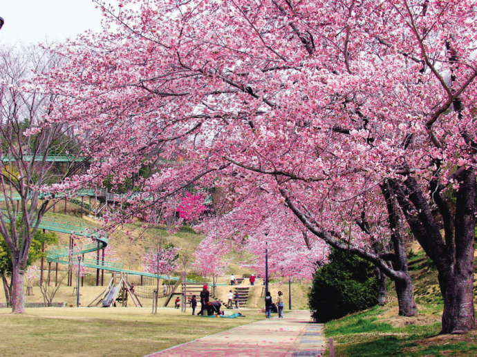 加西市にある丸山総合公園