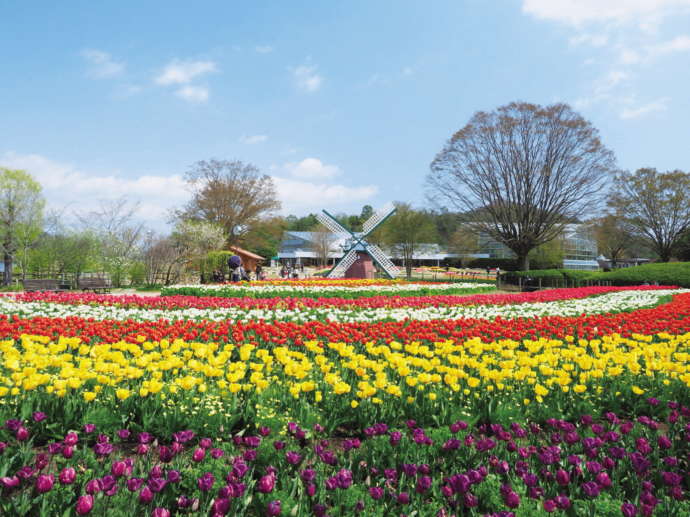 加西市にある県立のフラワーセンター