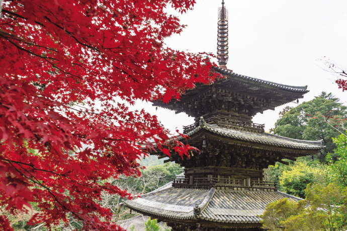 加西市にある法華寺の様子