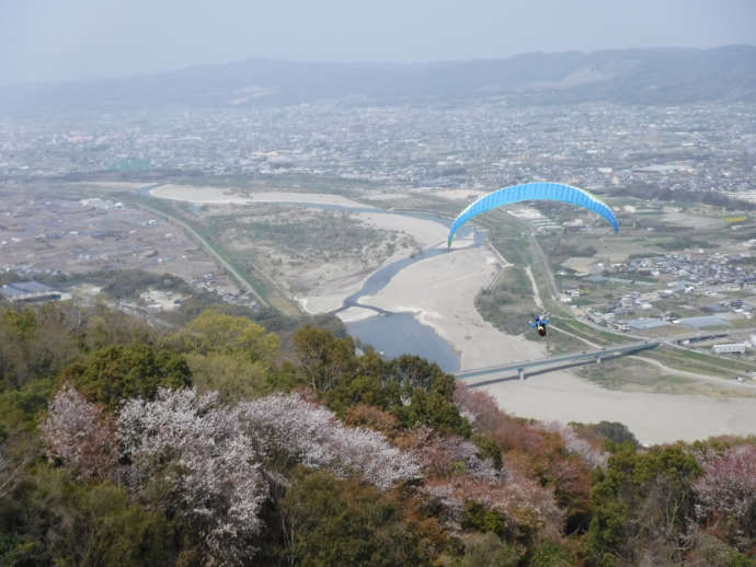 紀の川市の上空写真