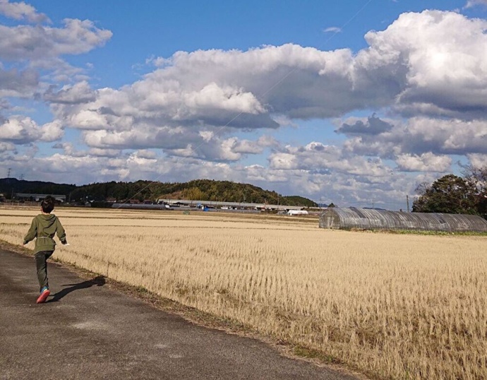 松江市内にある田園の様子