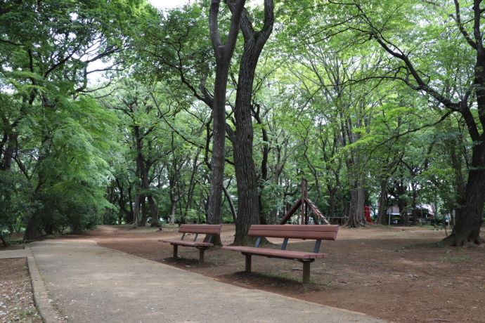 守谷市にある土塔森林公園