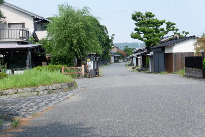 島田市博物館沿いの通路・川越遺跡を西から見たところ