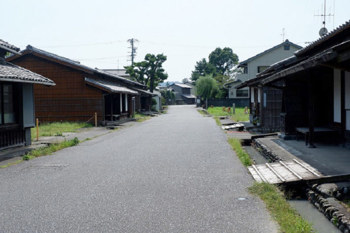 島田市博物館沿いの通路・川越遺跡を東から見たところ