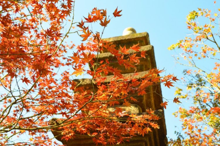 高麗美術館の中庭の石塔・秋