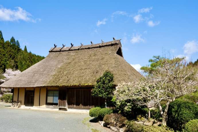 伝統の茅葺屋根の民家