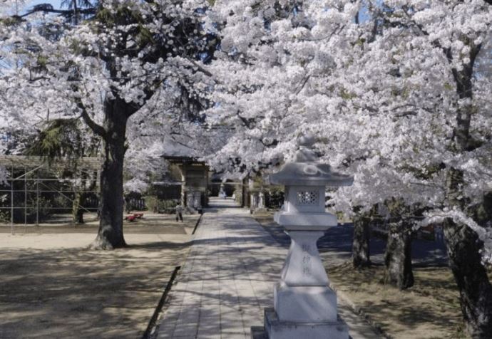 大宝八幡宮を訪れた場合の見どころなどはありますか？