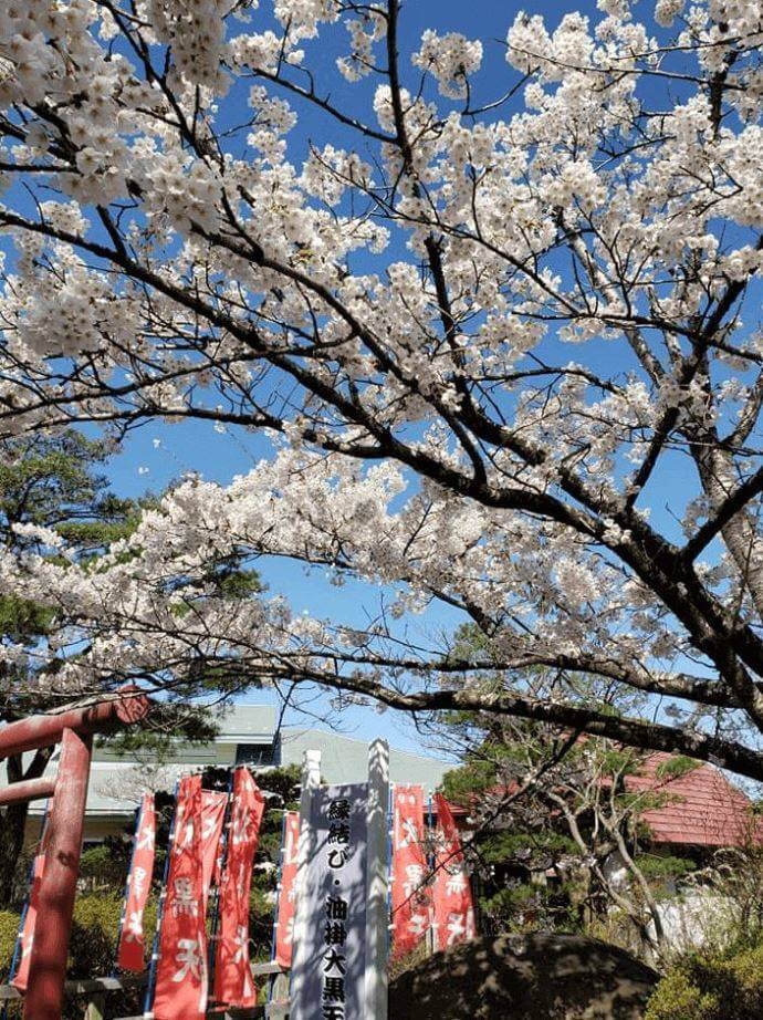 大観密寺