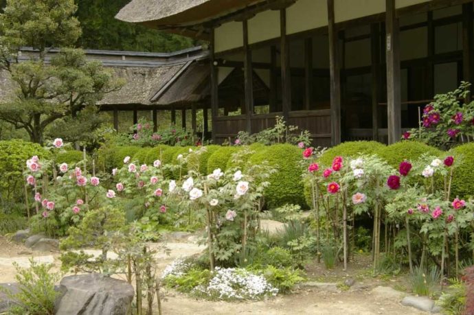 栃木県大田原市にある大雄寺と春の花々