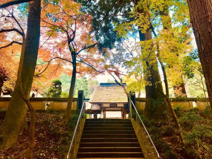 栃木県大田原市にある大雄寺の大伽藍と紅葉