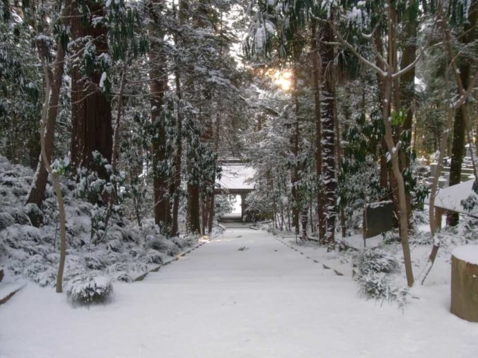 栃木県大田原市にある大雄寺の山道が雪に覆われた様子