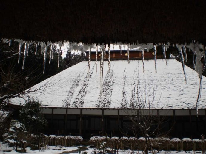 栃木県大田原市にある大雄寺の本堂に雪が積もった様子