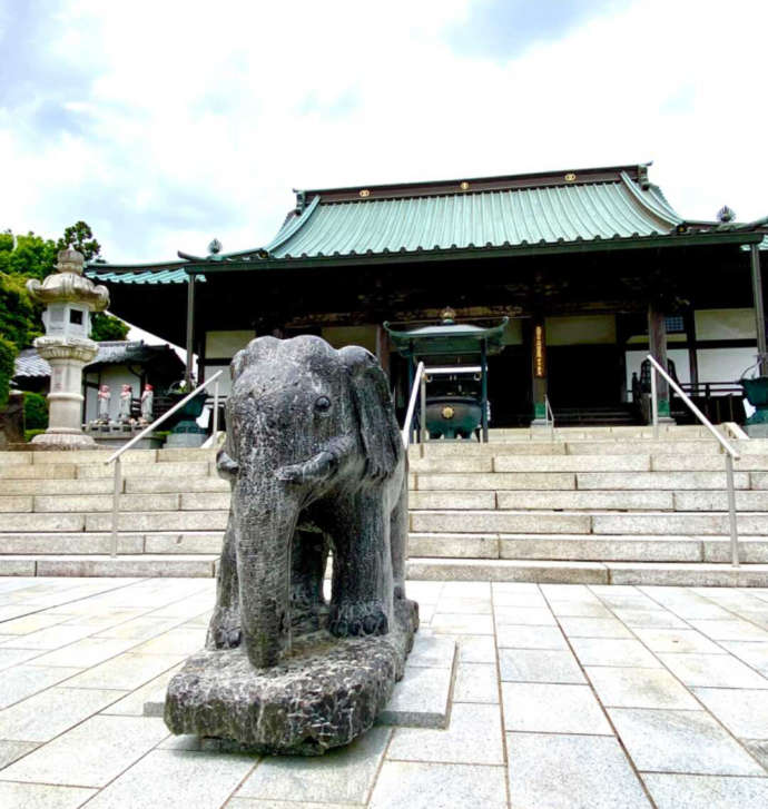 大聖寺の本殿と石造のゾウ